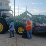 SE REALIZA JORNADA DE LIMPIEZA EN SANDY BEACH EN COORDINACIÓN SEMARNAT Y LA DIRECCIÓN DE ECOLOGÍA Y DESARROLLO, Y REINCORPORAN A EJEMPLAR A SU HÁBITAT NATURAL.
